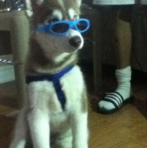 Meet your Posher, Belem